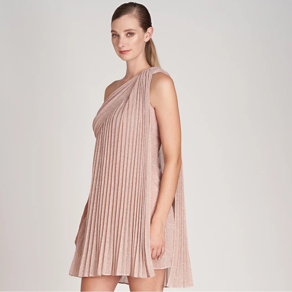 Rosè Halston Dress